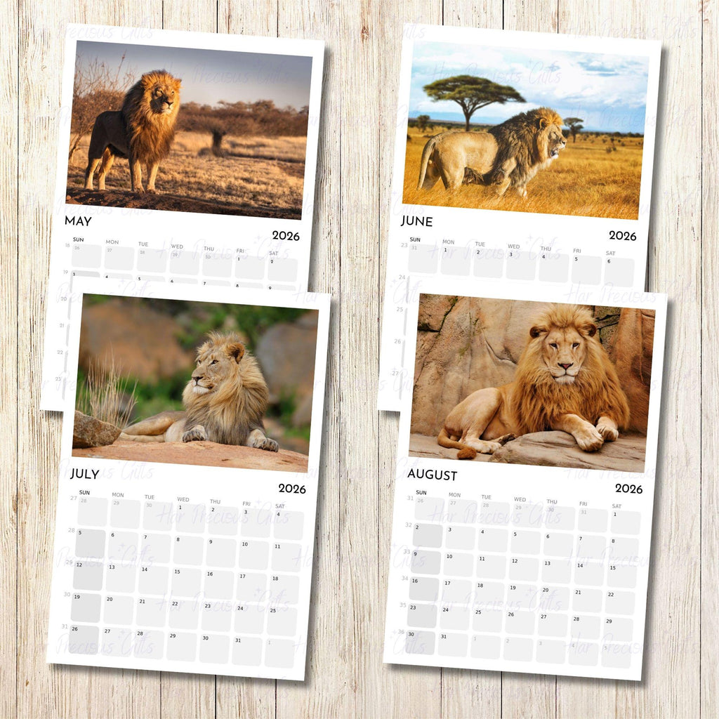 Lion Calendar 2026