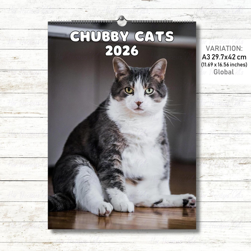 Cute Chubby Cats Calendar 2026